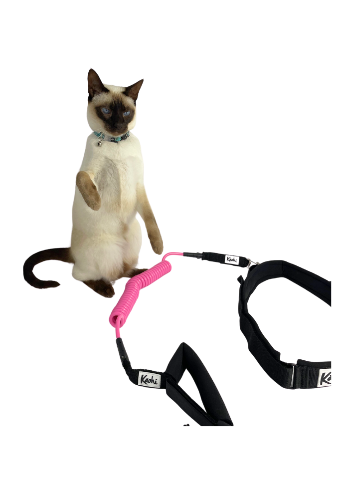 Kāohi Combo: Continuous Coil 8 mm Leash + Padded Black Belt™