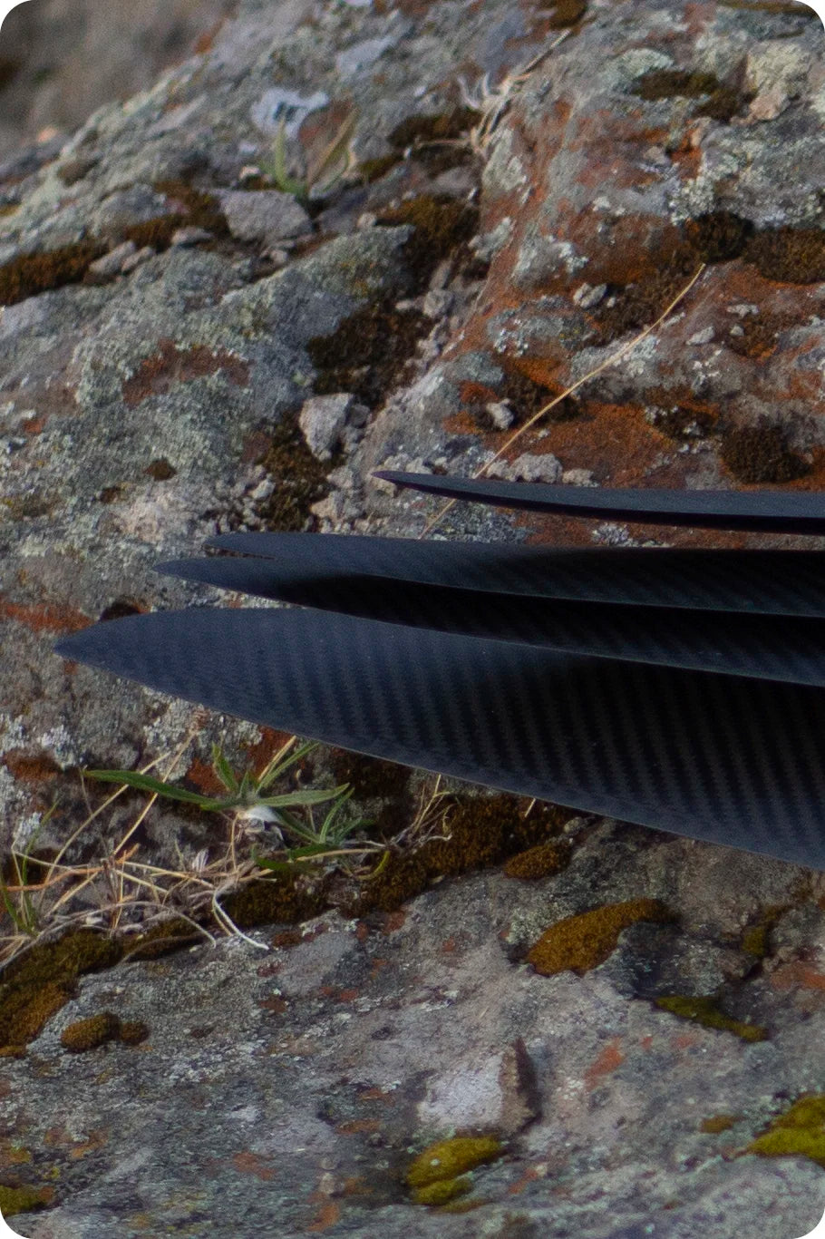 KT Nomad Back Wing